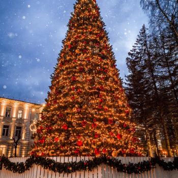 Christmas Tree Llighting