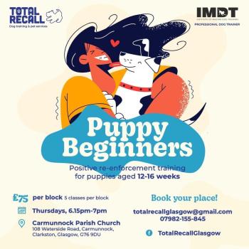 Puppy Beginners