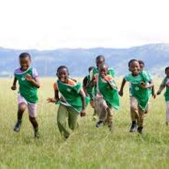 Carmunnock Gala  -Sports in the park