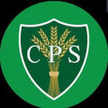 Carmunnock Primary School Term Dates 2024 - 2025